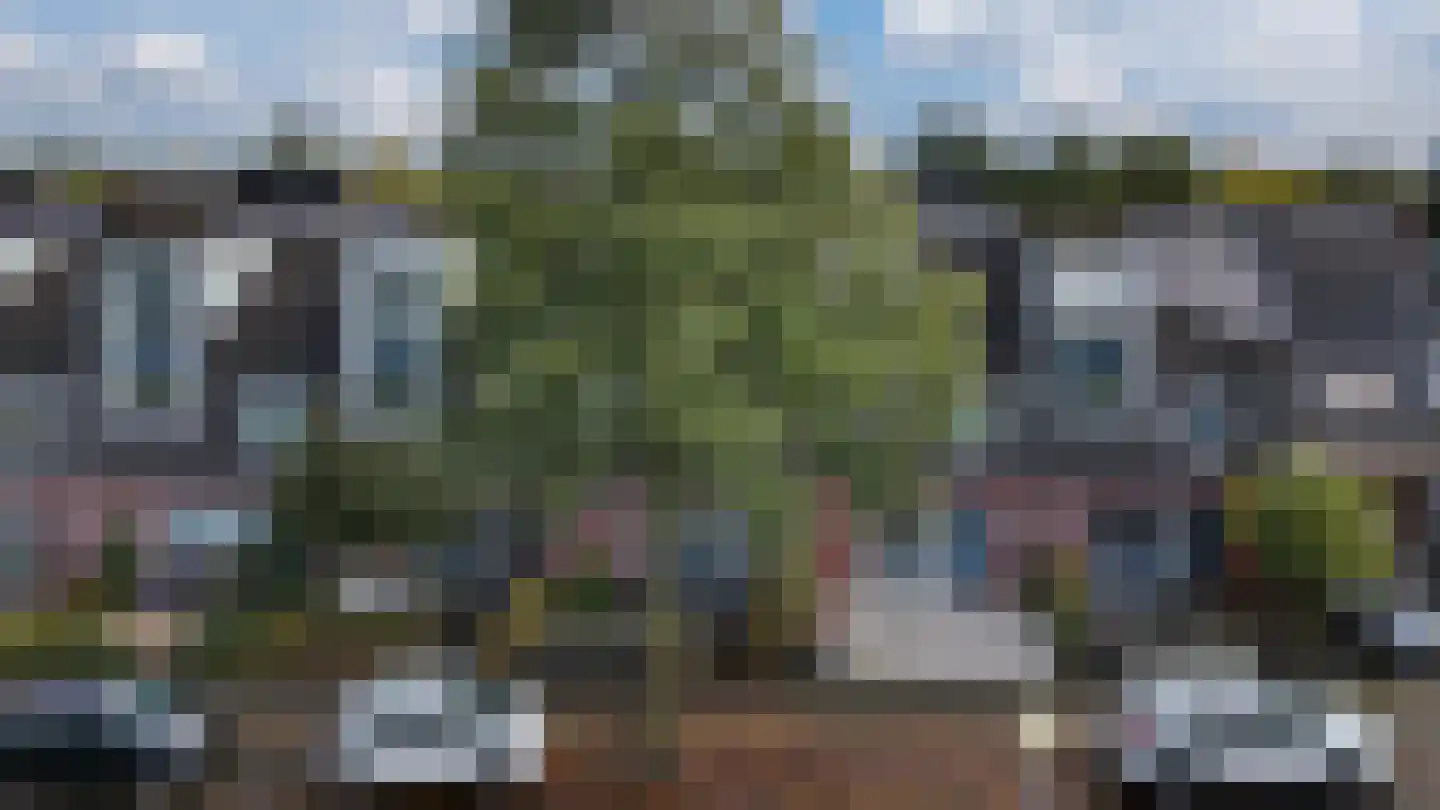 de Lingert 6451 Wijchen thumbnail 51