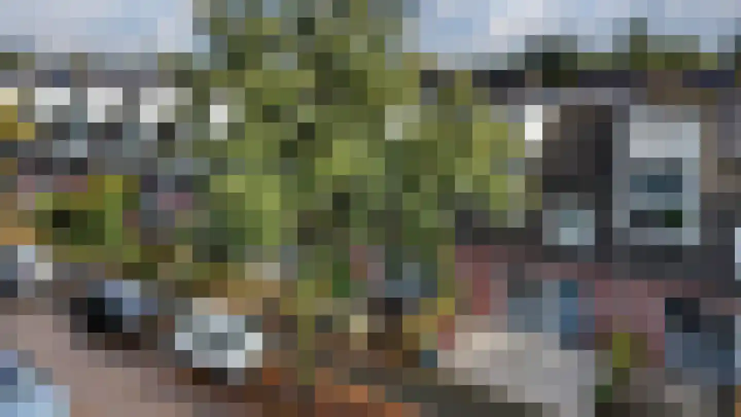 de Lingert 6451 Wijchen thumbnail 52