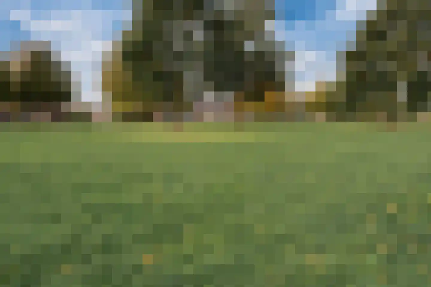 de Lingert 6451 Wijchen thumbnail 54