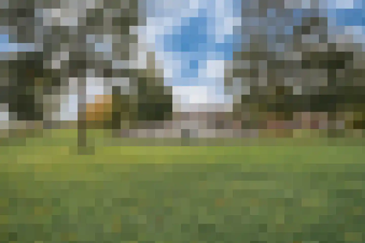de Lingert 6451 Wijchen thumbnail 55