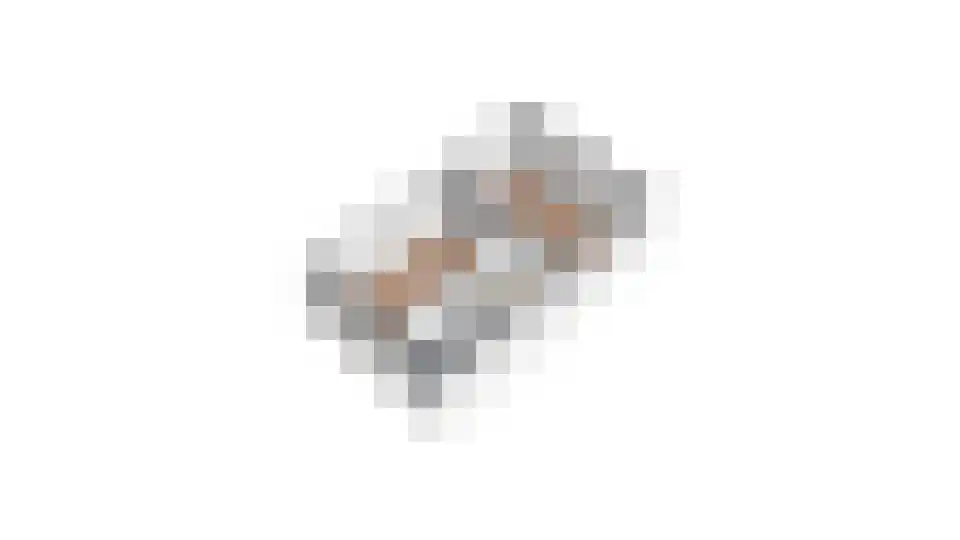 de Lingert 6451 Wijchen thumbnail 61