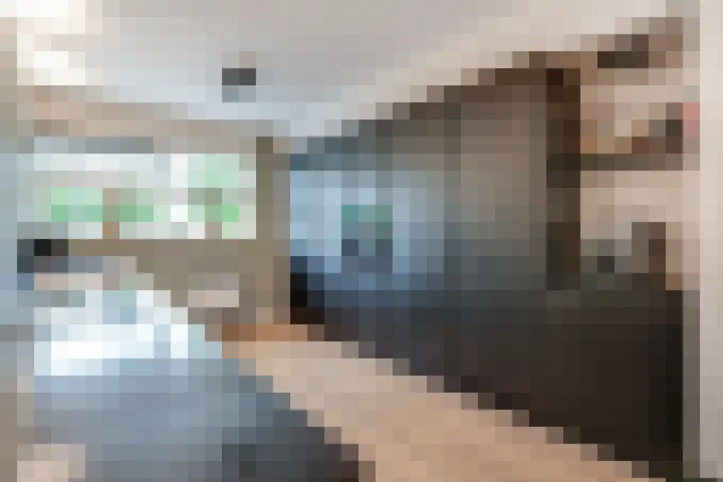 de Lingert 6451 Wijchen thumbnail 7