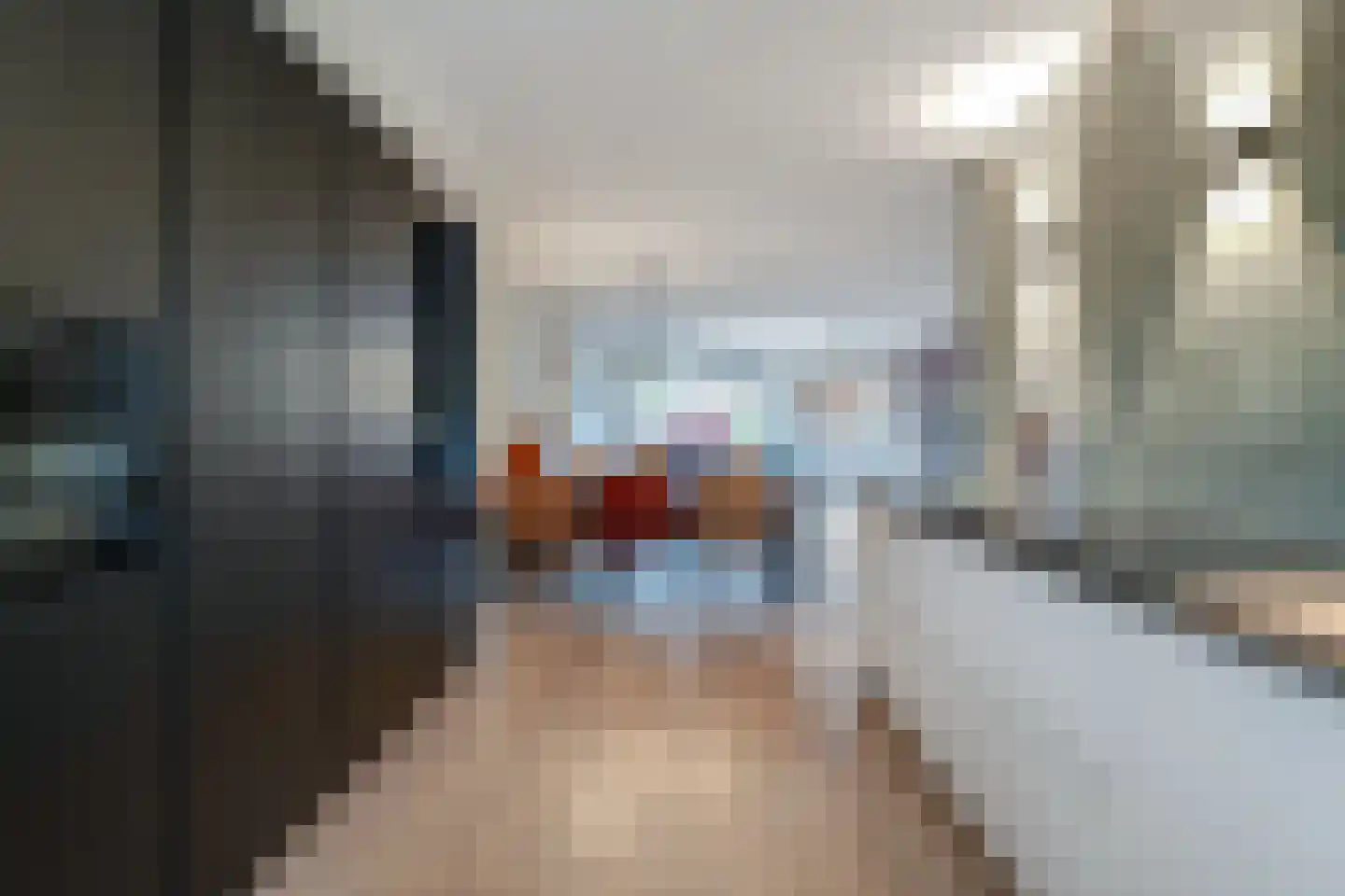 de Lingert 6451 Wijchen thumbnail 9