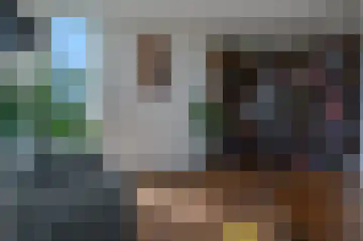 de Lingert 6499 A Wijchen thumbnail 16