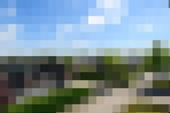 de Lingert 6499 A Wijchen thumbnail 42