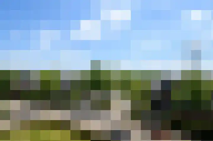 de Lingert 6499 A Wijchen thumbnail 44