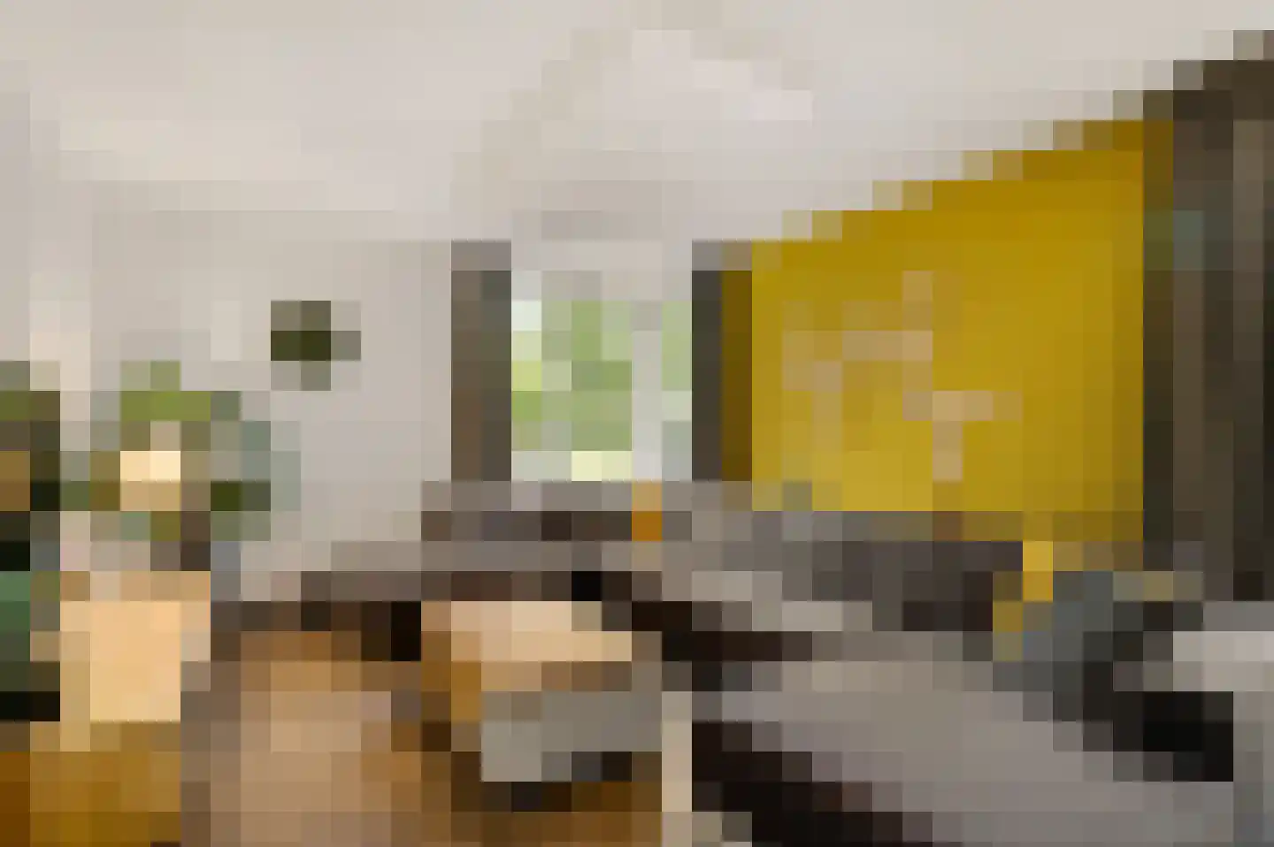 De Lingst 35 Haelen thumbnail 11