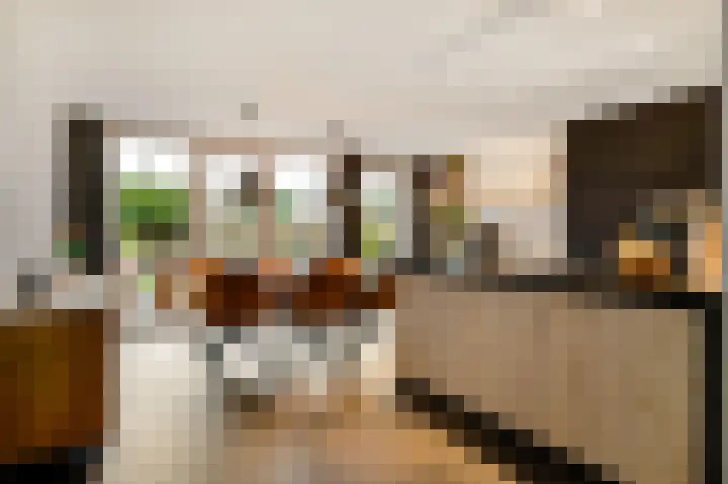 De Lingst 35 Haelen thumbnail 14