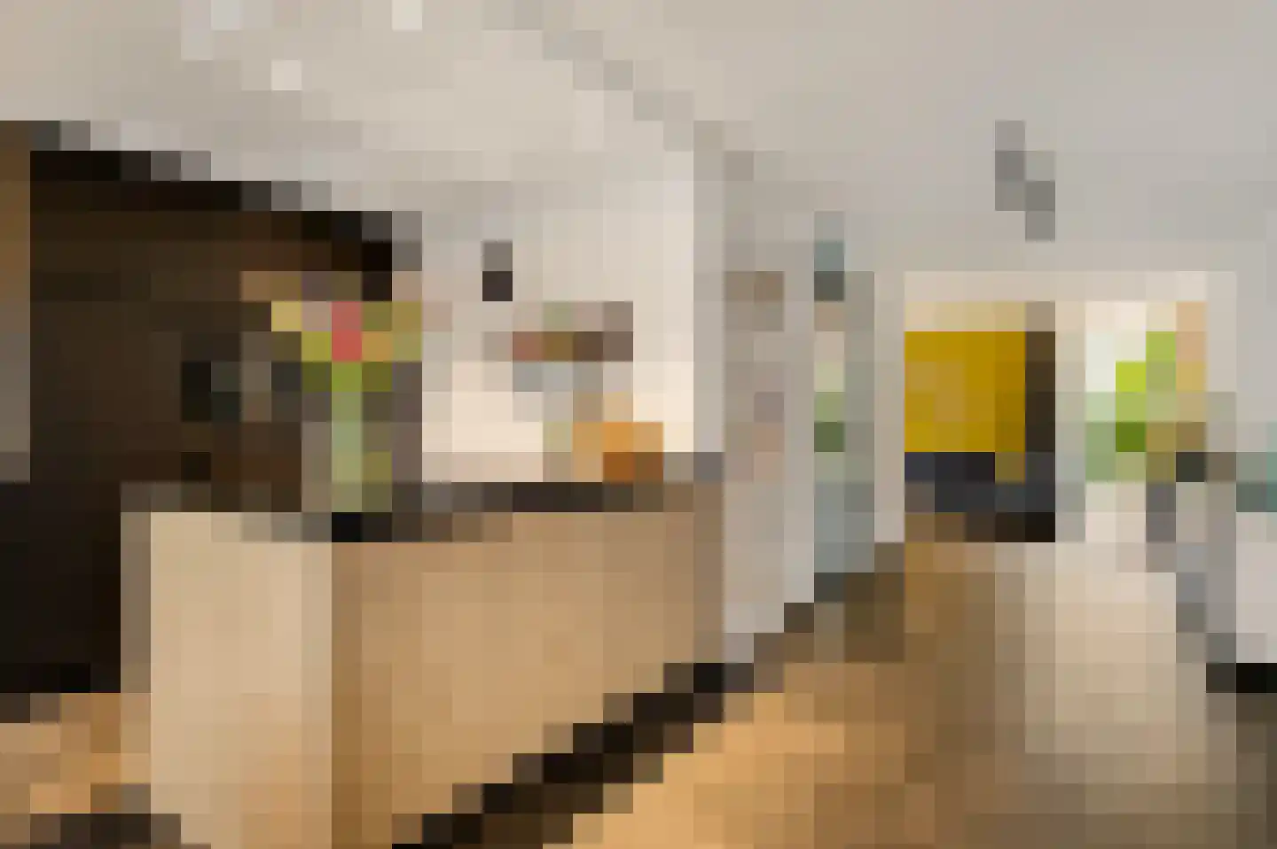 De Lingst 35 Haelen thumbnail 15
