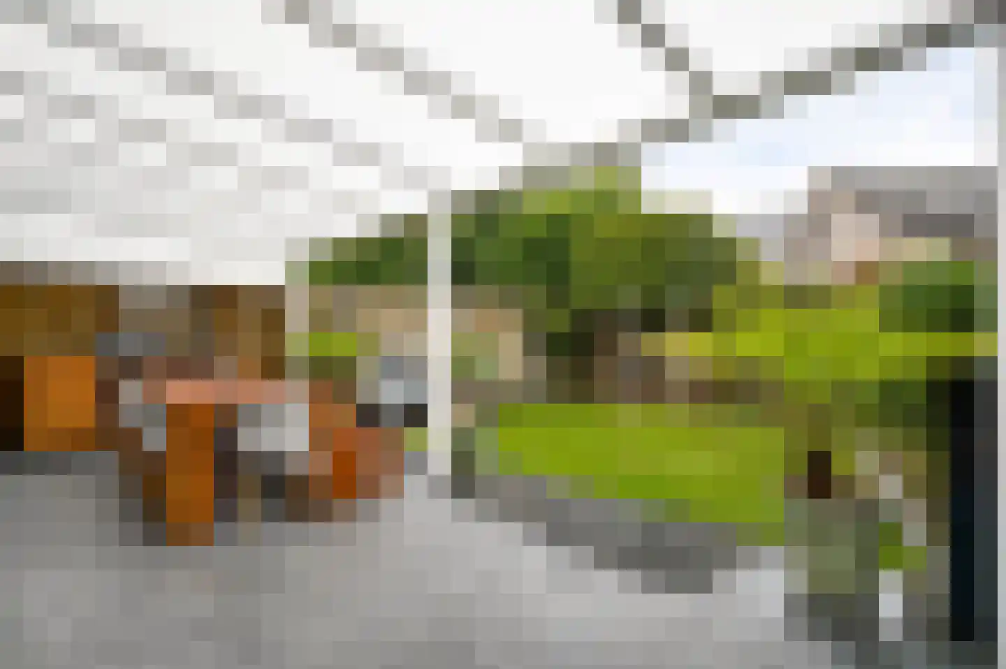 De Lingst 35 Haelen thumbnail 23