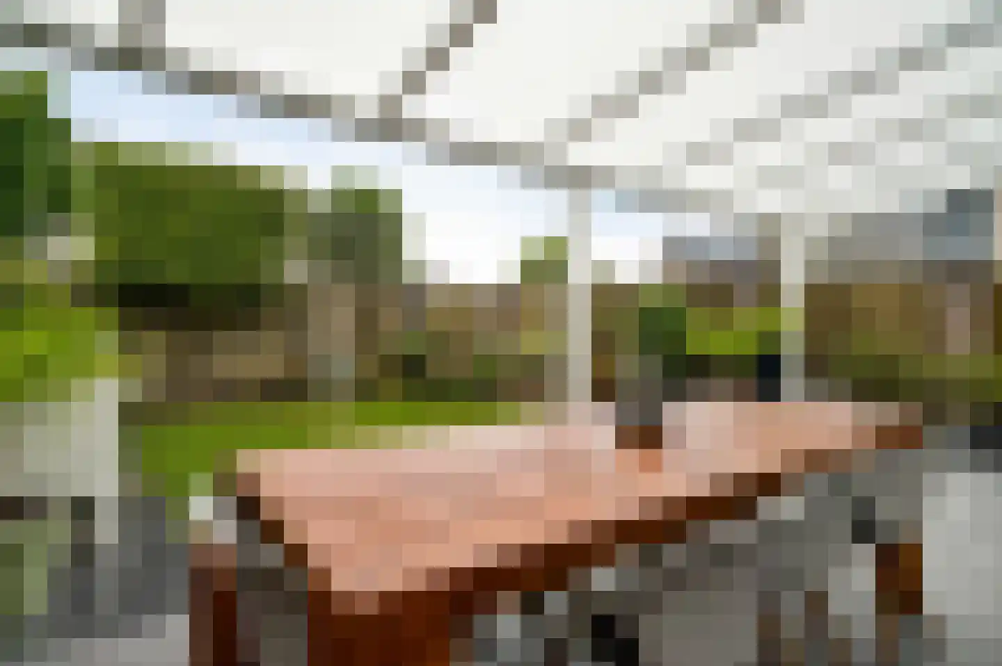 De Lingst 35 Haelen thumbnail 24