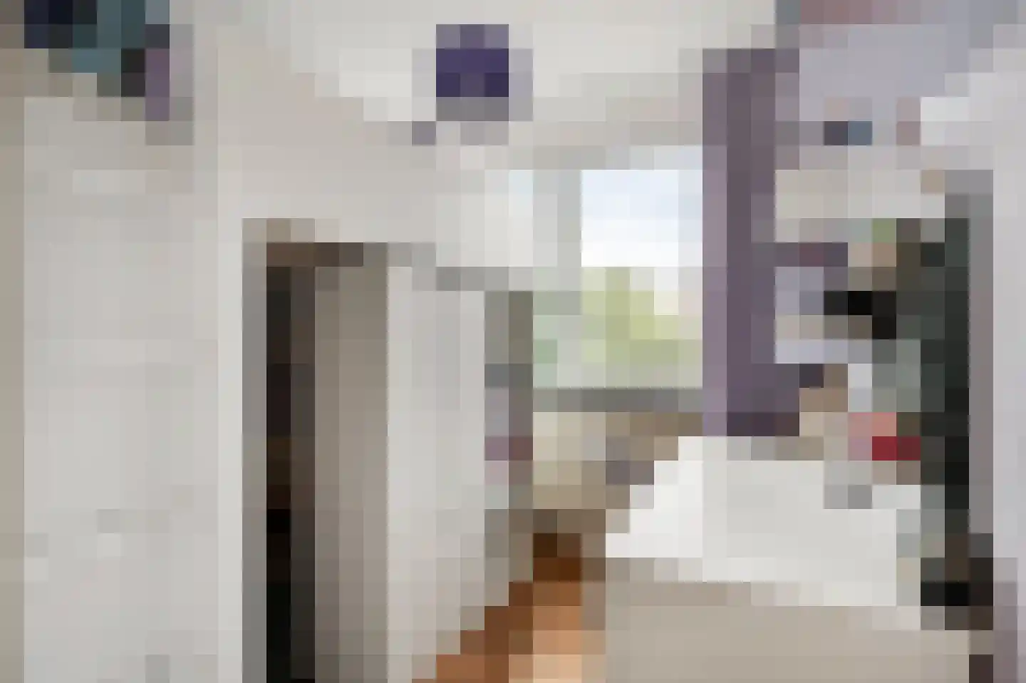 De Lingst 35 Haelen thumbnail 30
