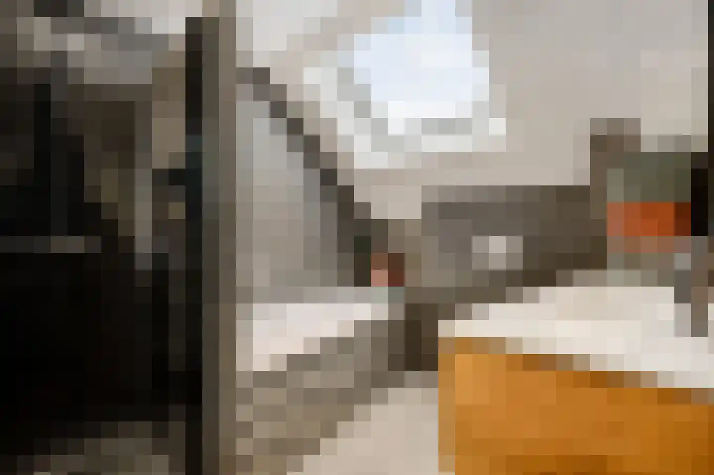 De Lingst 35 Haelen thumbnail 32