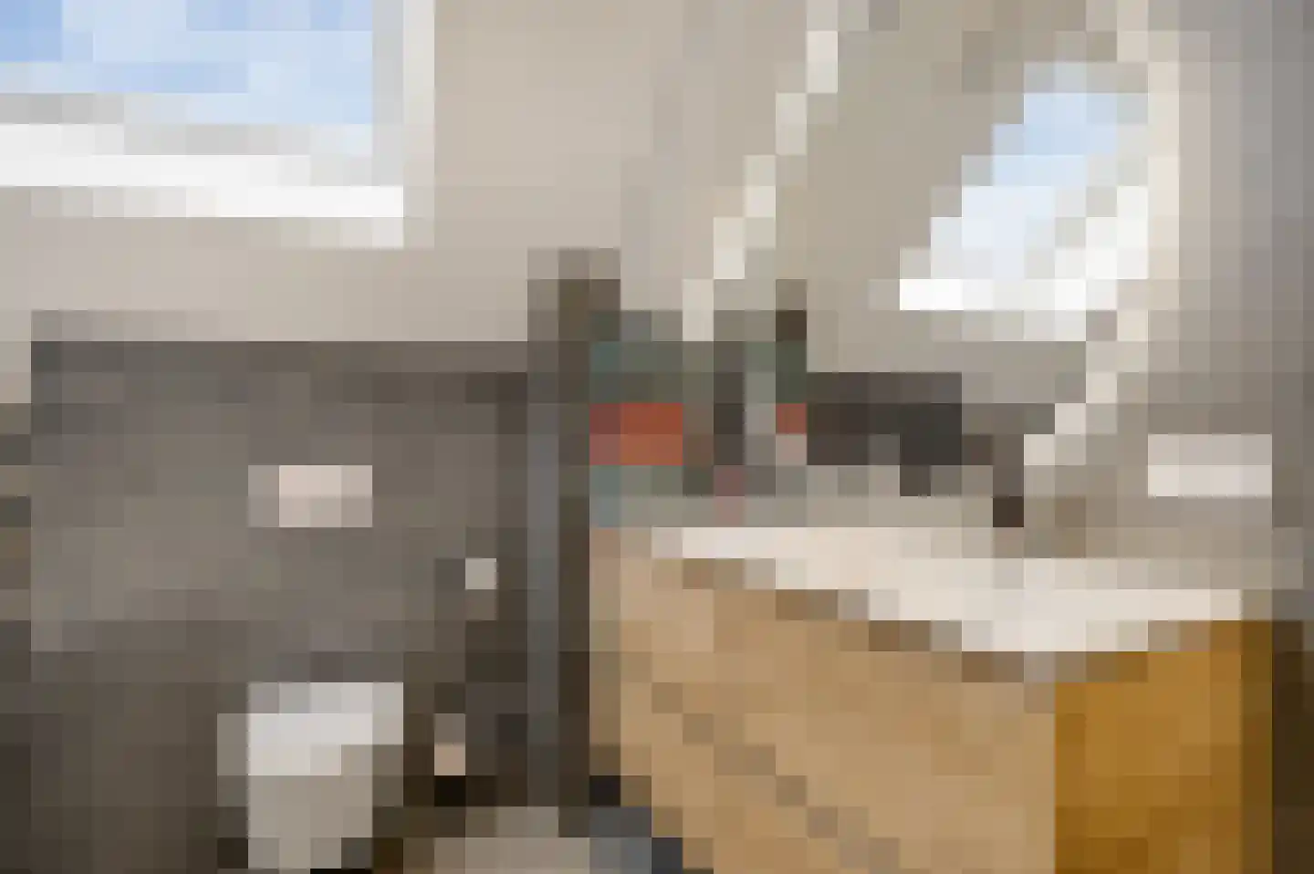 De Lingst 35 Haelen thumbnail 33