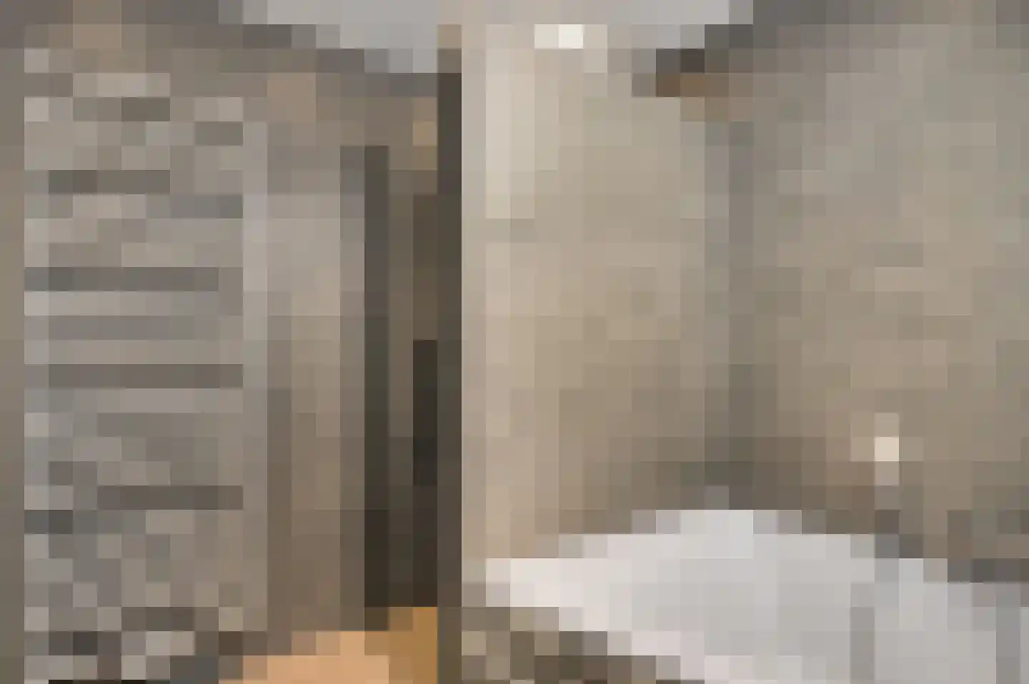 De Lingst 35 Haelen thumbnail 34
