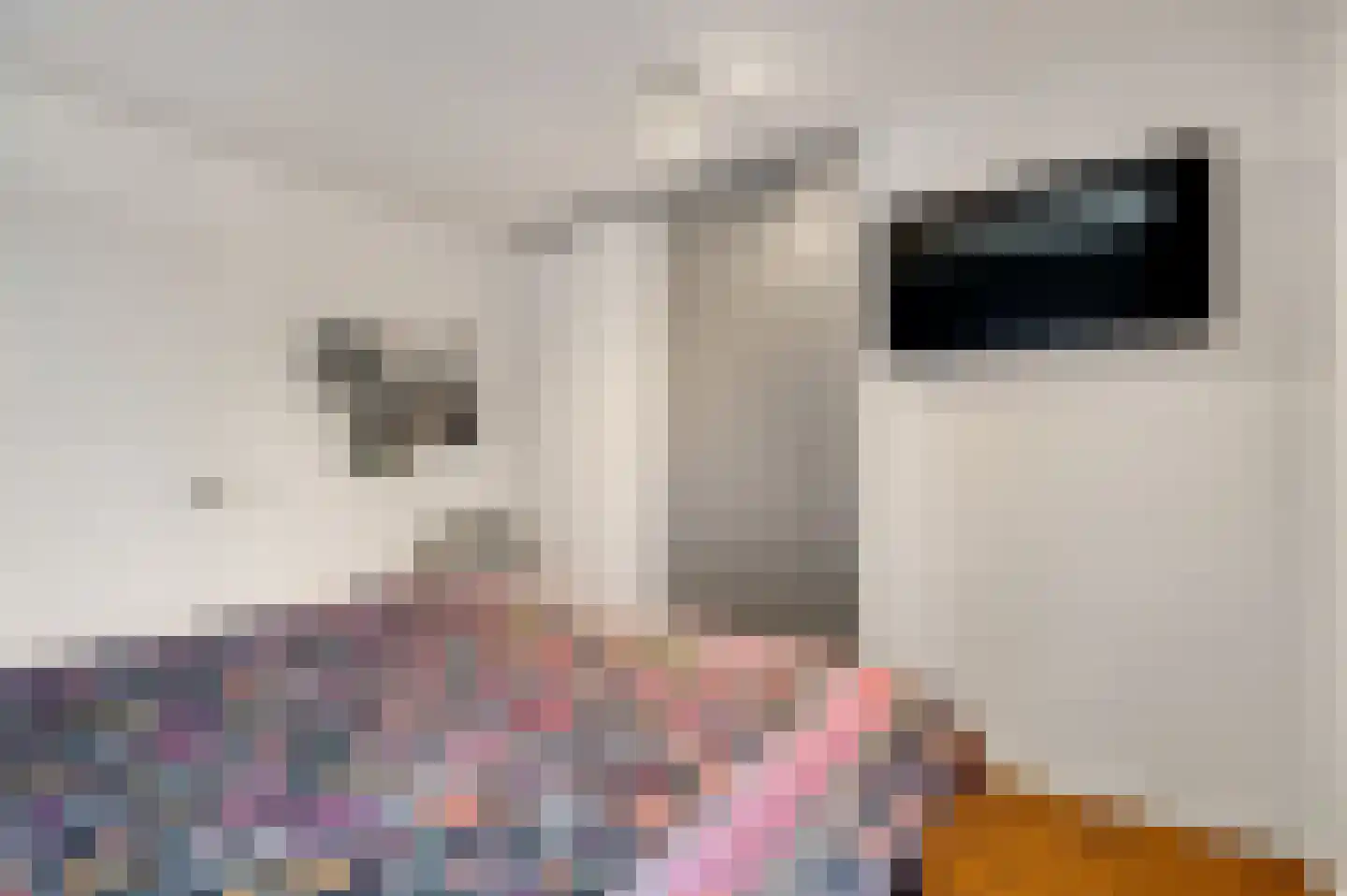 De Lingst 35 Haelen thumbnail 38