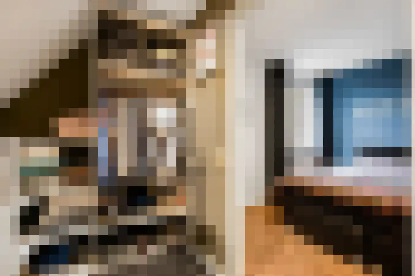 De Lingst 35 Haelen thumbnail 40