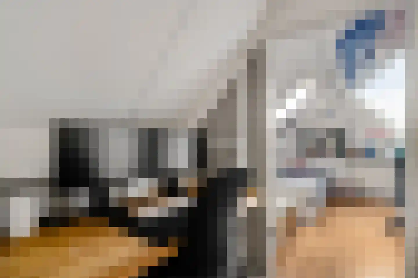 De Lingst 35 Haelen thumbnail 42