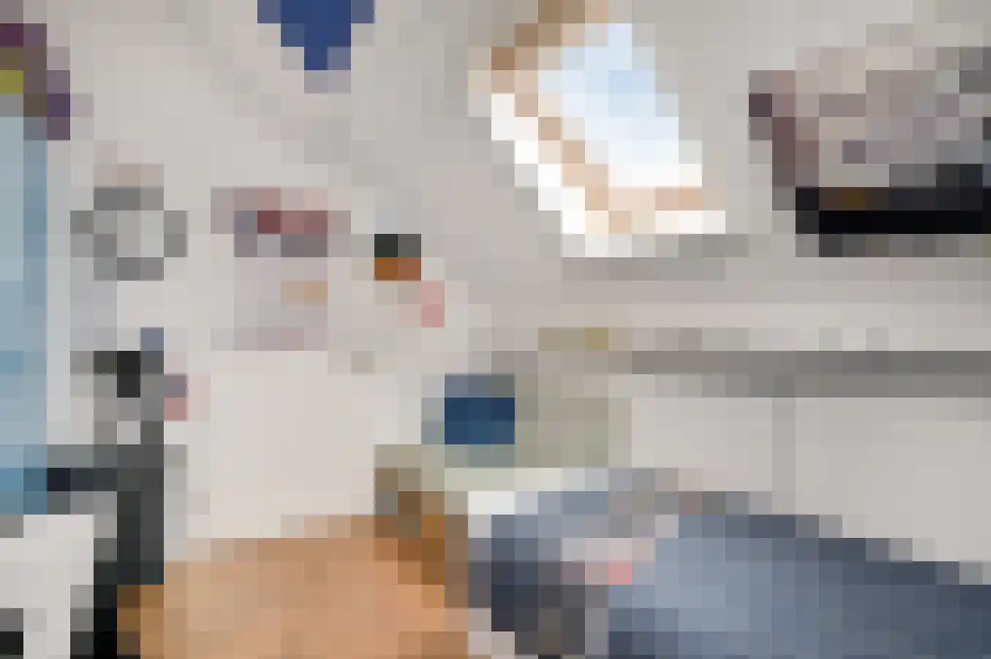 De Lingst 35 Haelen thumbnail 44