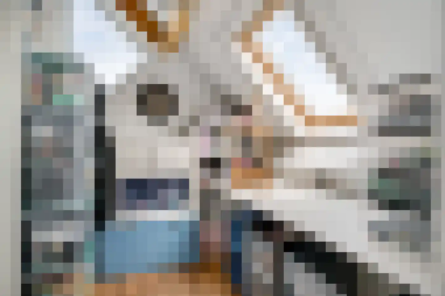 De Lingst 35 Haelen thumbnail 45