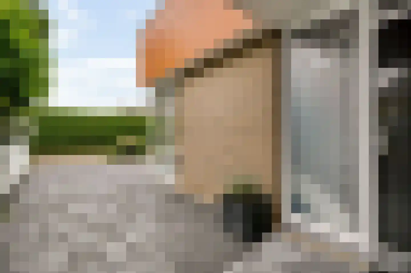 De Lingst 35 Haelen thumbnail 6
