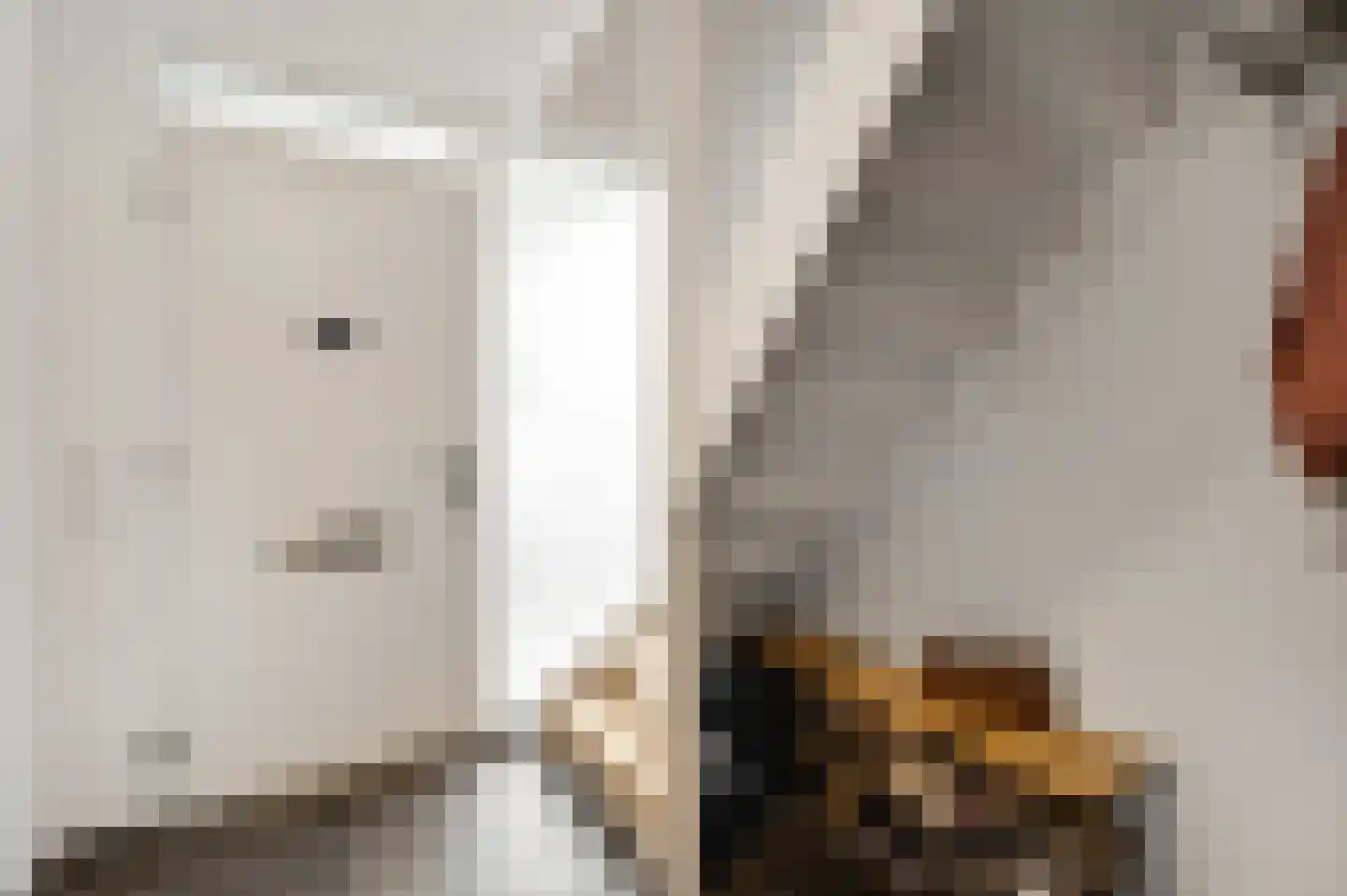 De Lingst 35 Haelen thumbnail 8
