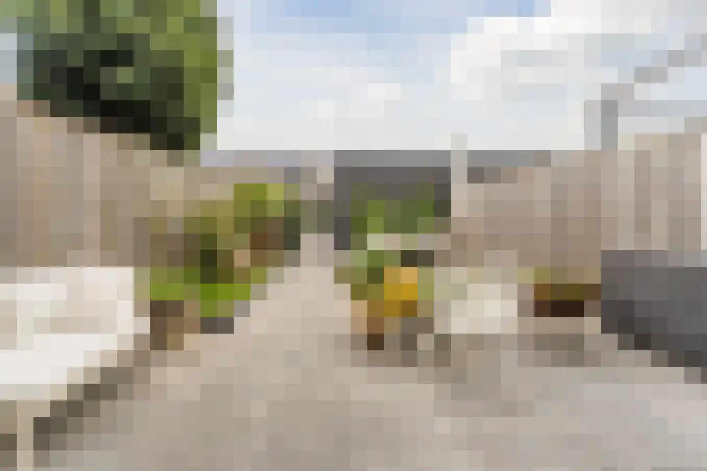 De Linie 10 Gorinchem thumbnail 39
