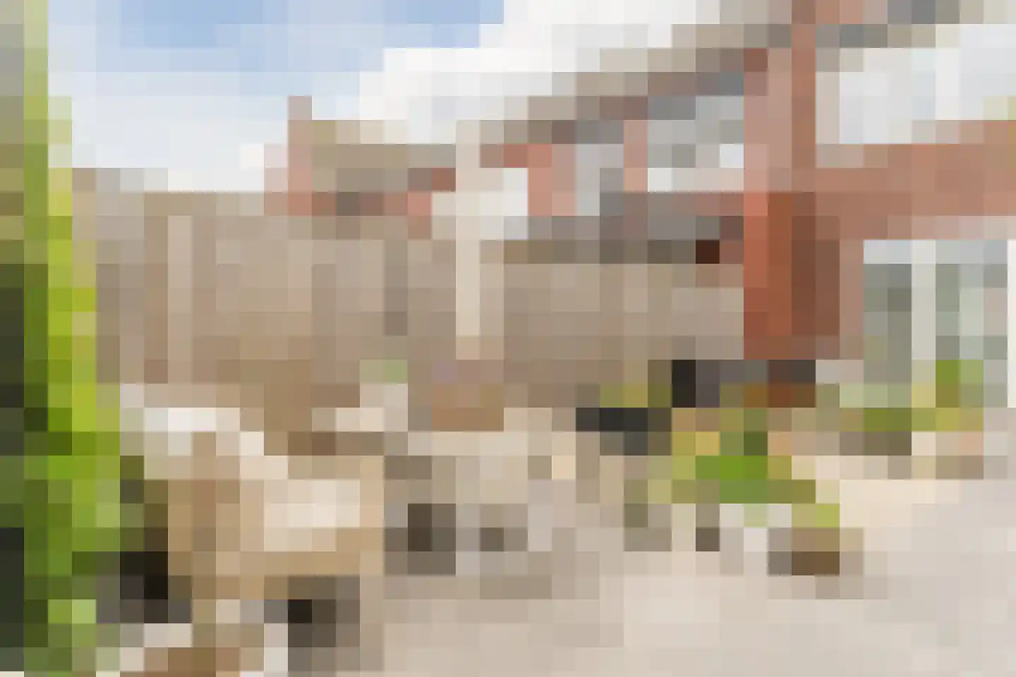 De Linie 10 Gorinchem thumbnail 42