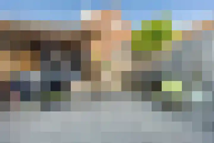 De Linie 27 Gorinchem thumbnail 7