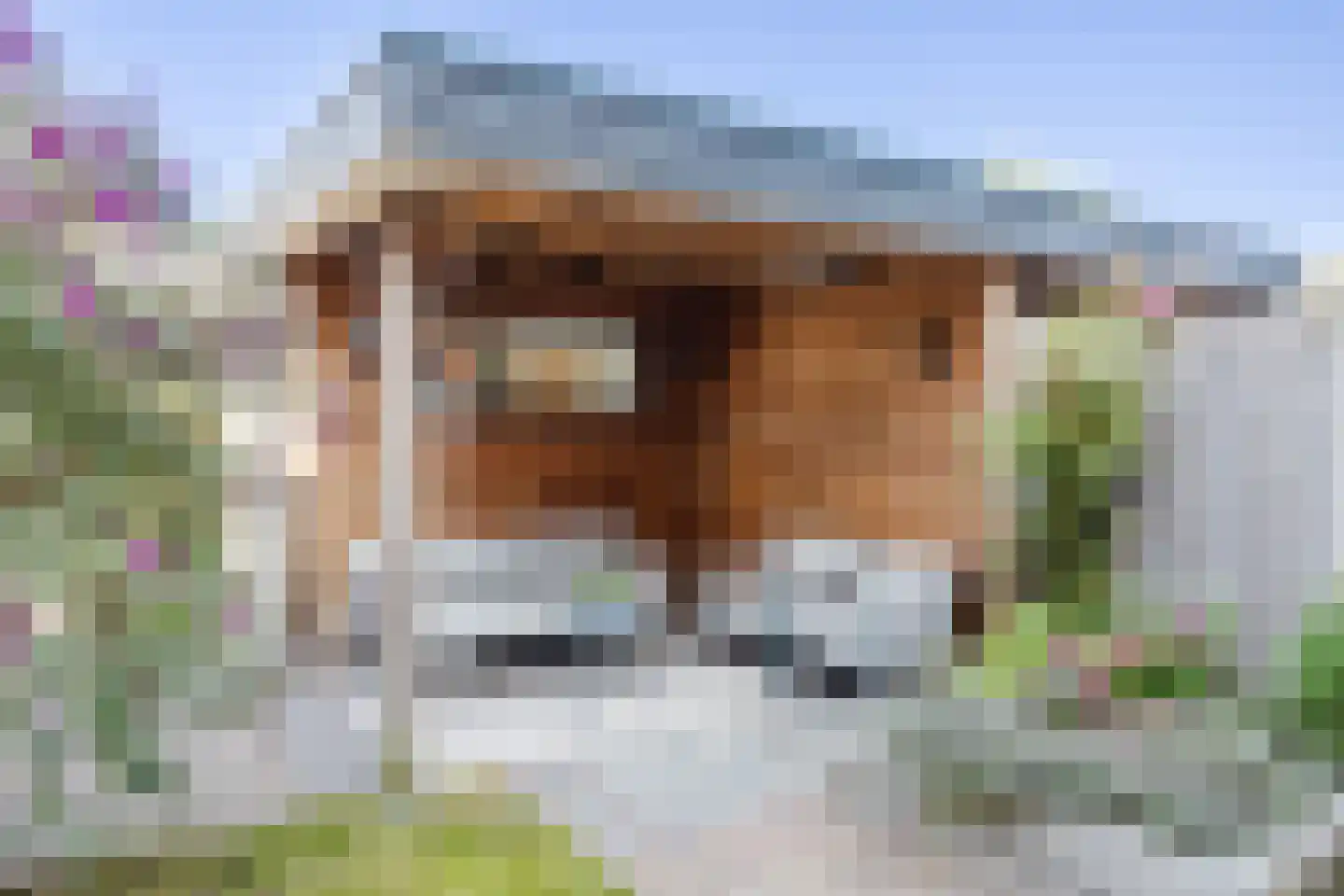De Linie 5 Gorinchem thumbnail 9