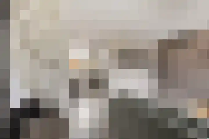 De Linnenbleker 14 Boxtel thumbnail 10