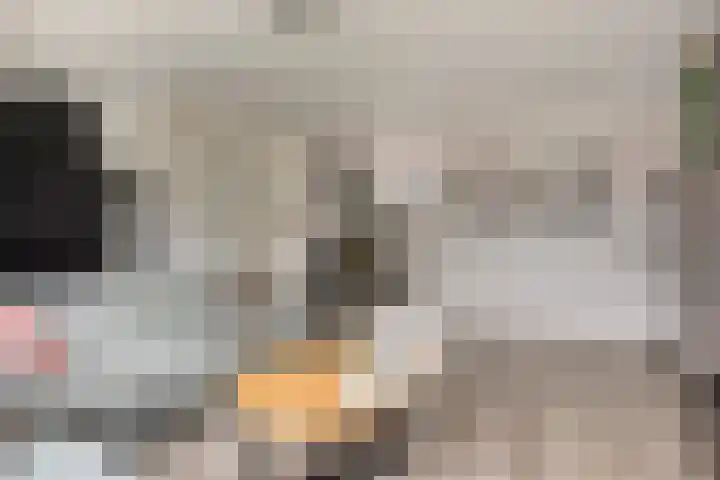 De Linnenbleker 14 Boxtel thumbnail 14