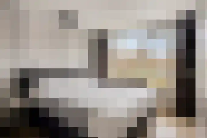De Linnenbleker 14 Boxtel thumbnail 23