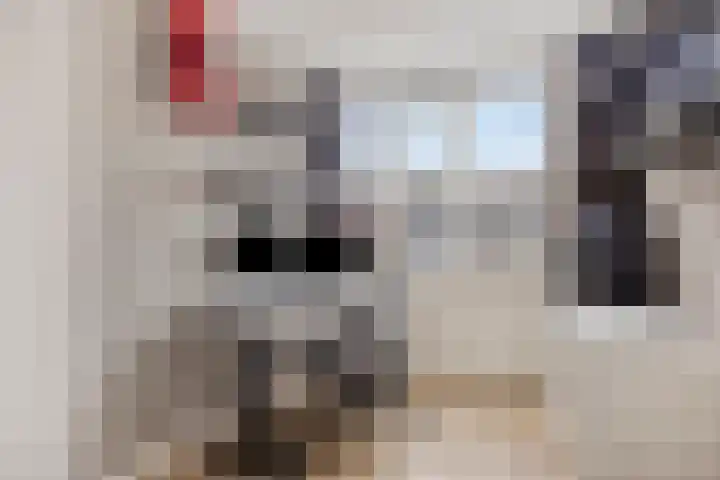 De Linnenbleker 14 Boxtel thumbnail 30