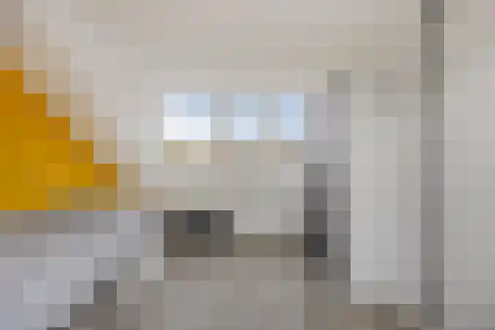 De Linnenbleker 14 Boxtel thumbnail 33