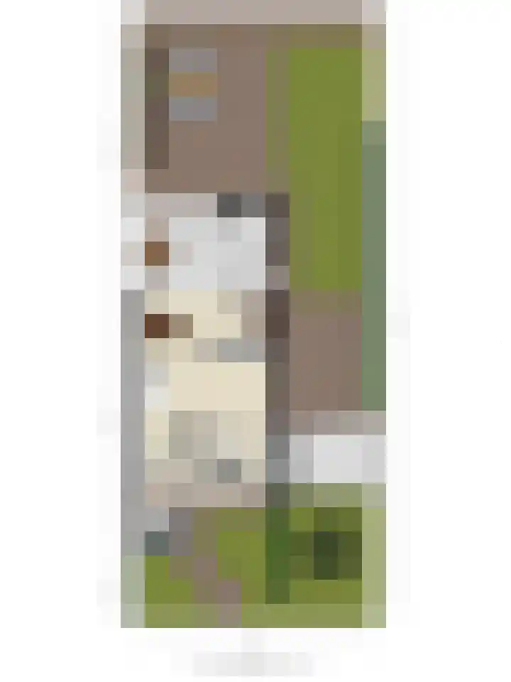 De Linnenbleker 14 Boxtel thumbnail 41