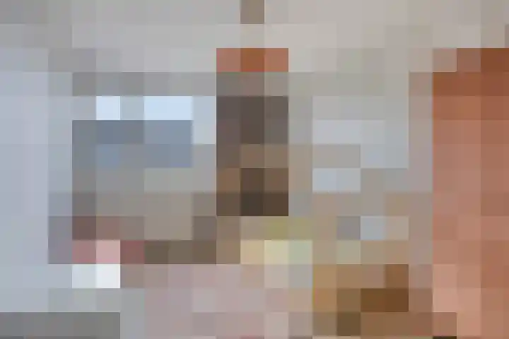 De Linnenbleker 3 Boxtel thumbnail 20