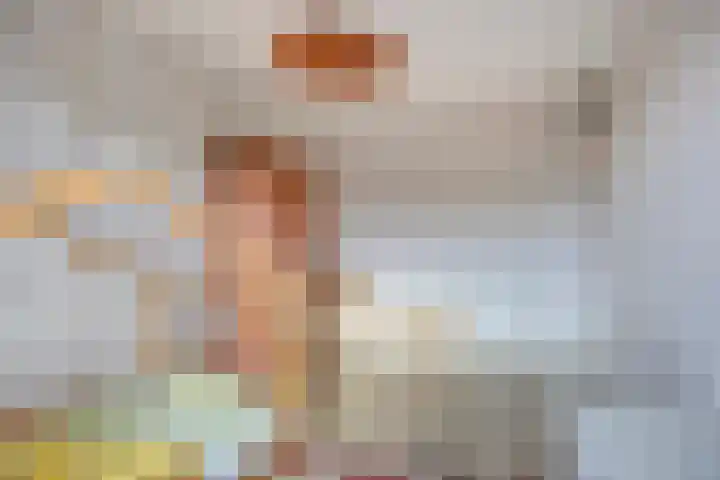 De Linnenbleker 3 Boxtel thumbnail 21