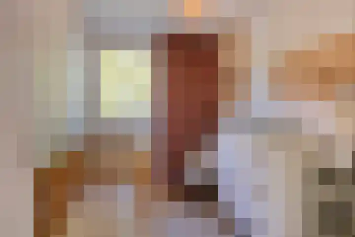 De Linnenbleker 3 Boxtel thumbnail 22