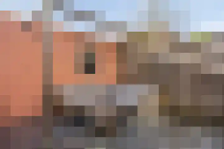 De Linnenbleker 3 Boxtel thumbnail 31