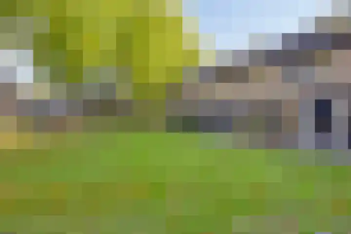 De Linnenbleker 3 Boxtel thumbnail 34