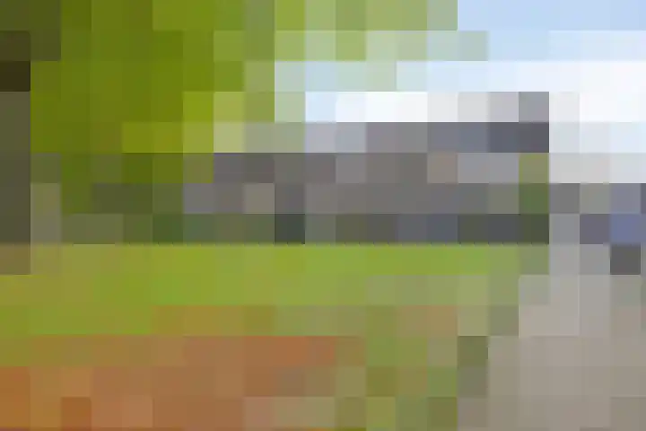 De Linnenbleker 3 Boxtel thumbnail 35