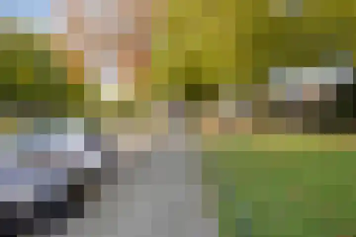 De Linnenbleker 3 Boxtel thumbnail 36