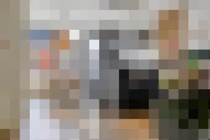 De Linnenbleker 3 Boxtel thumbnail 6