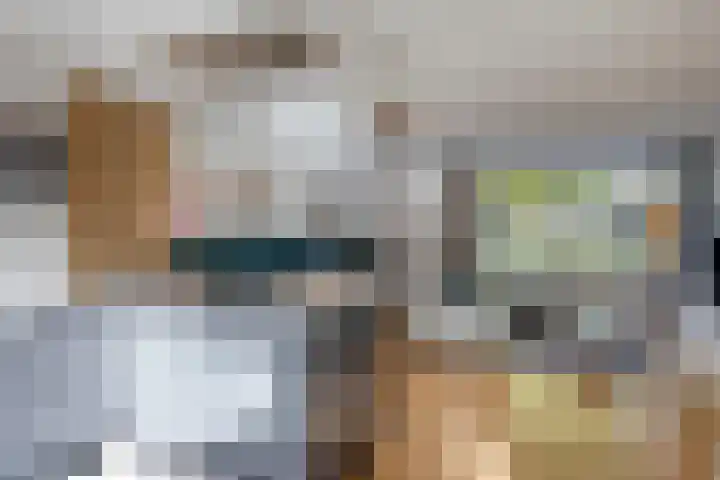 De Linnenbleker 3 Boxtel thumbnail 9