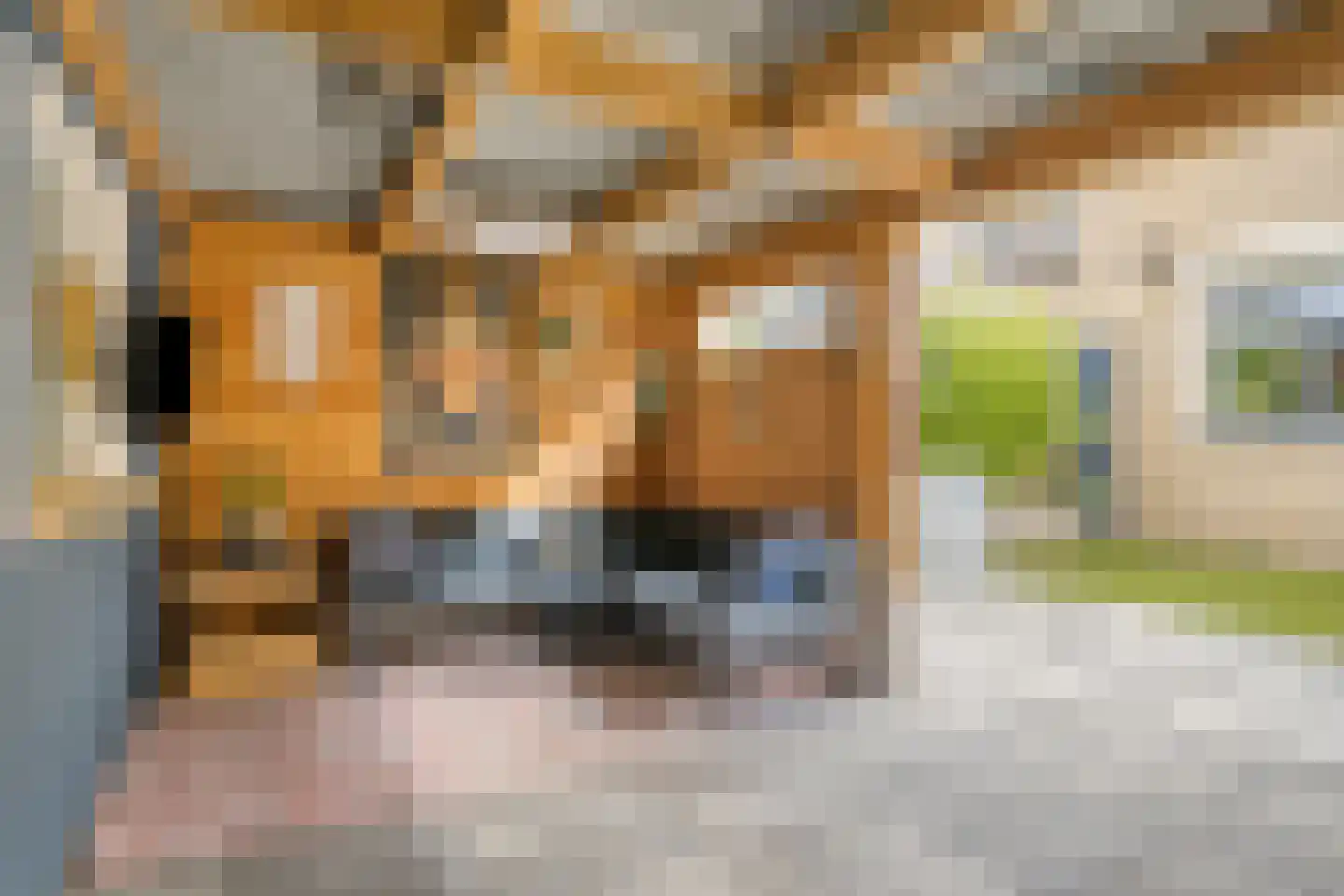 De Linnenbleker 35 Boxtel thumbnail 24