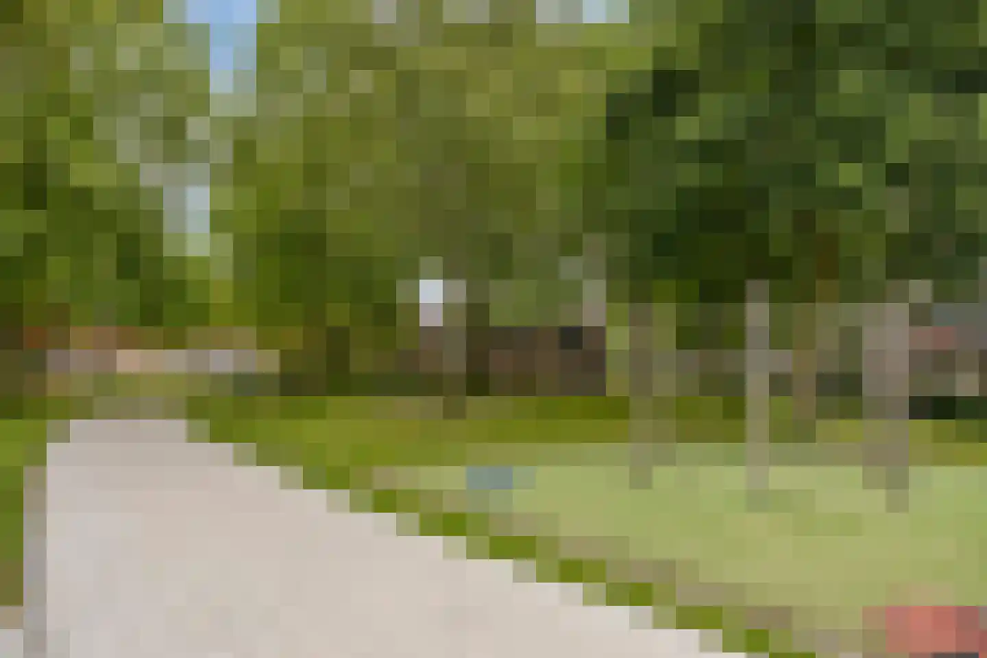 De Linnenbleker 35 Boxtel thumbnail 28