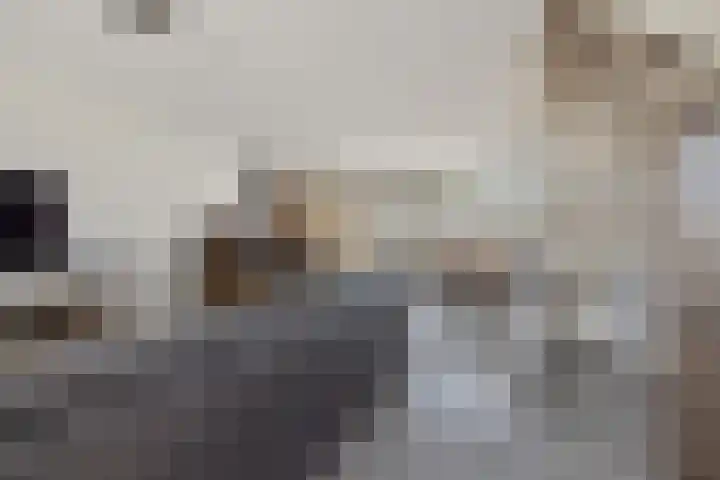 De Linnenbleker 72 Boxtel thumbnail 13