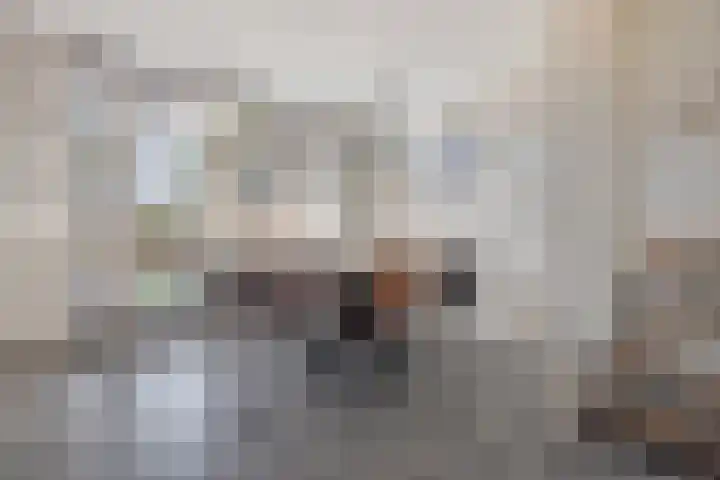De Linnenbleker 72 Boxtel thumbnail 17