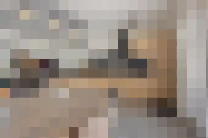 De Linnenbleker 72 Boxtel thumbnail 21